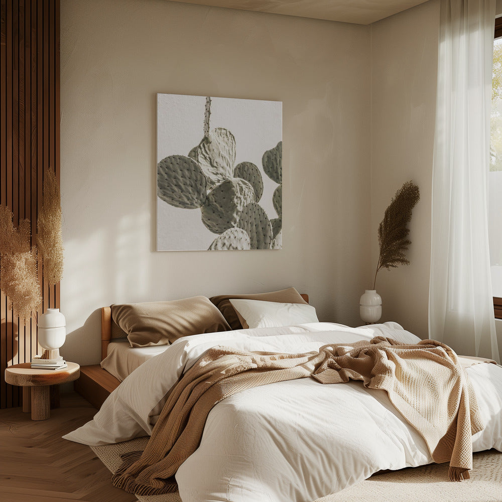 Prickly Elegance | Canvas