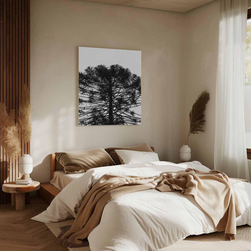 Silhouetted Symmetry | Canvas