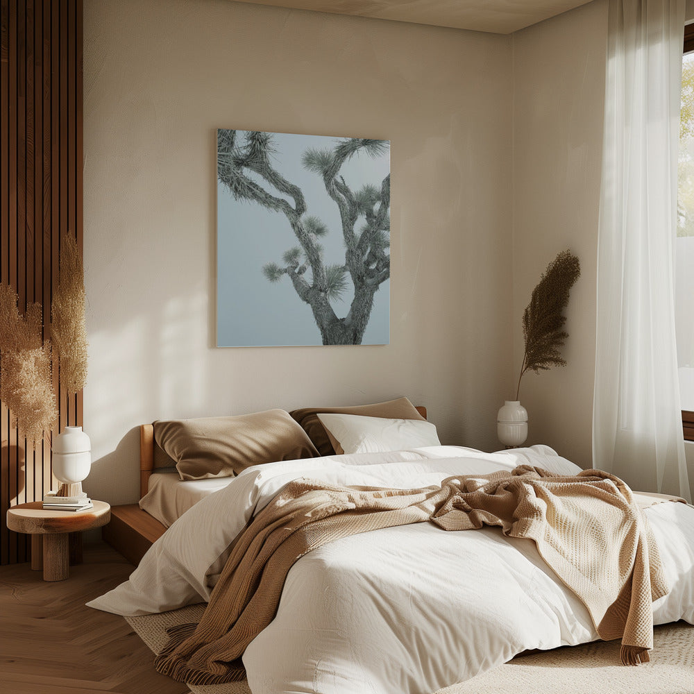 Desert Elegance | Canvas