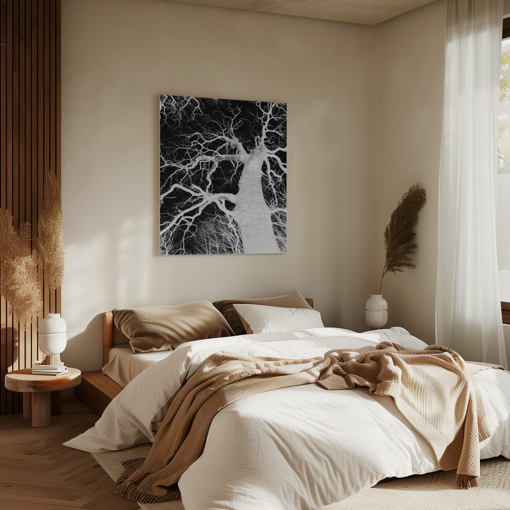 Inverse Arbor Essence | Canvas