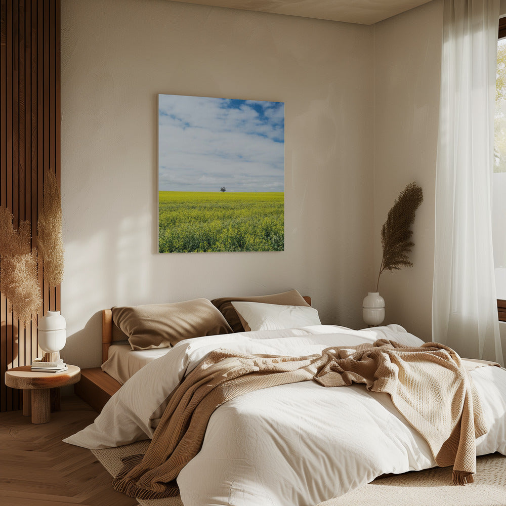 Solitary Tree Horizon | Canvas