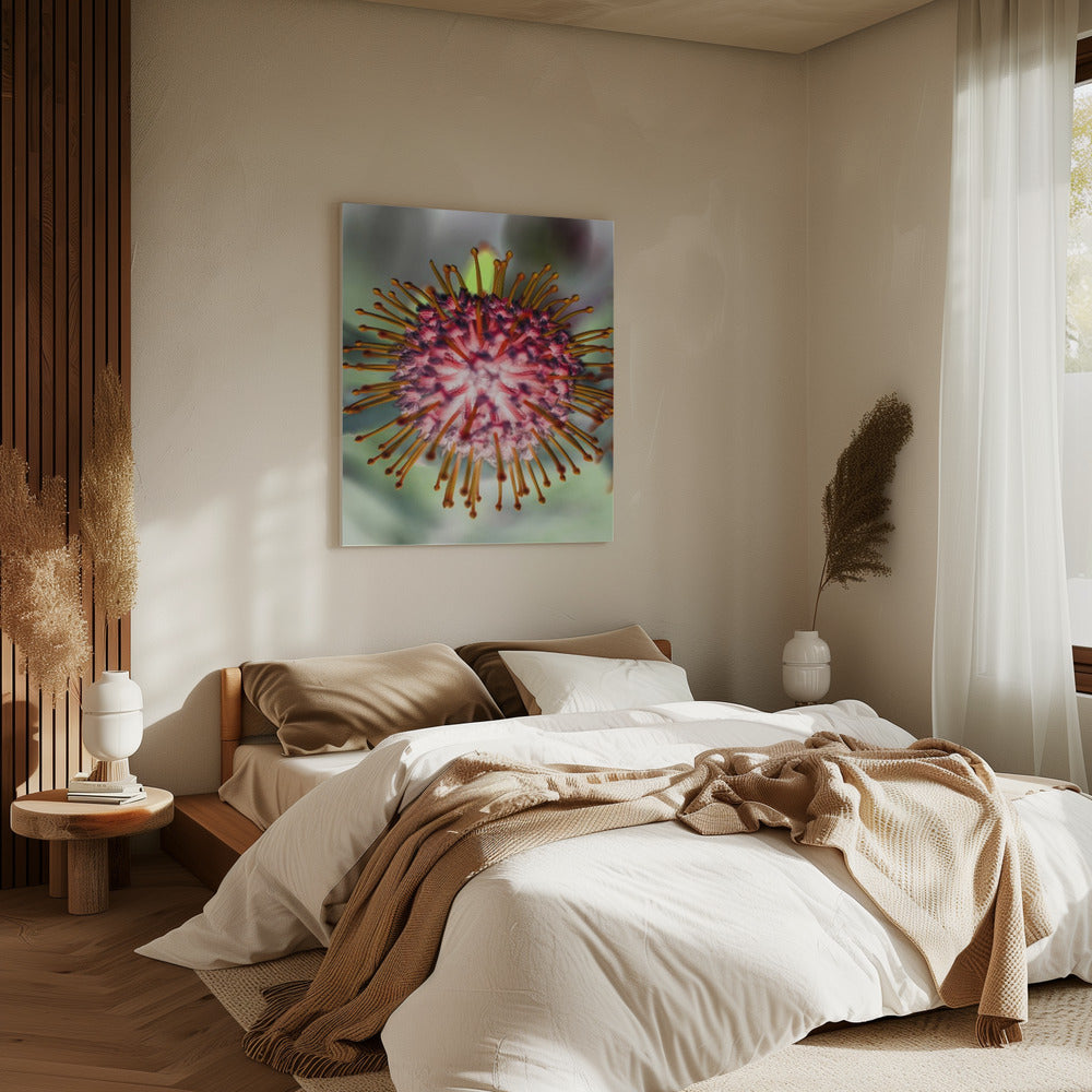 Blooming Radiance | Canvas