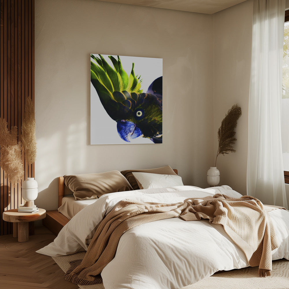 Vivid Bird Glance | Canvas