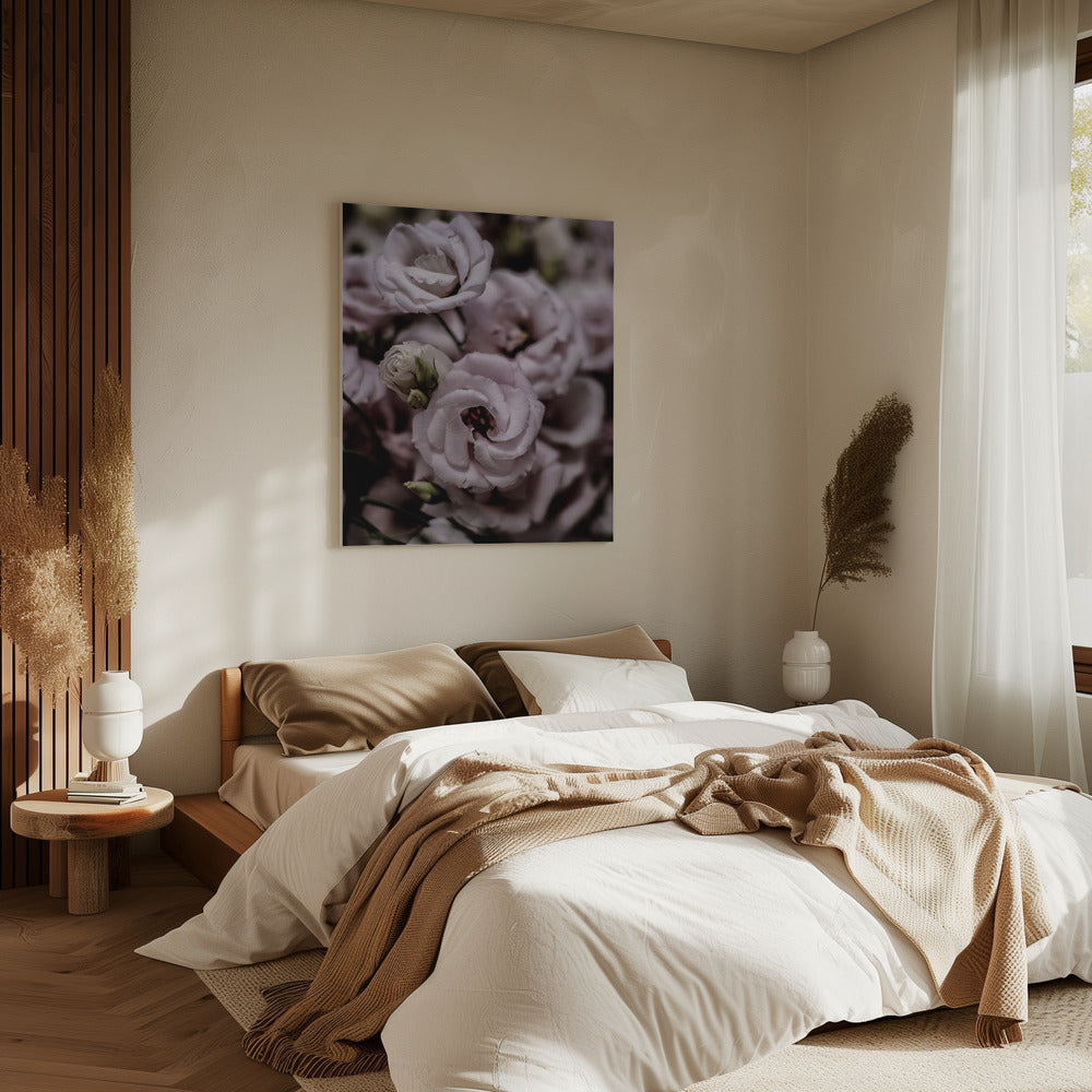 Delicate Beauty of Pink Lisianthus Flower | Canvas