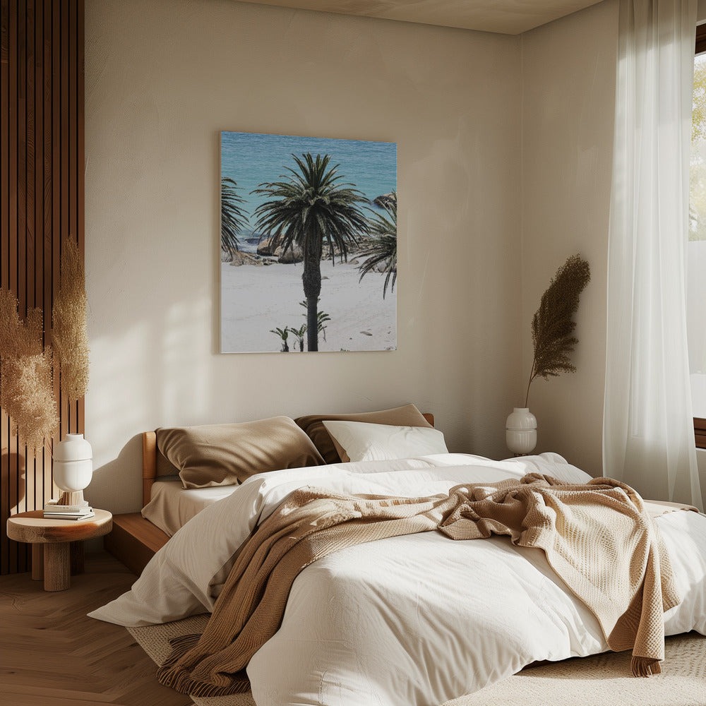 Secret Sands | Canvas