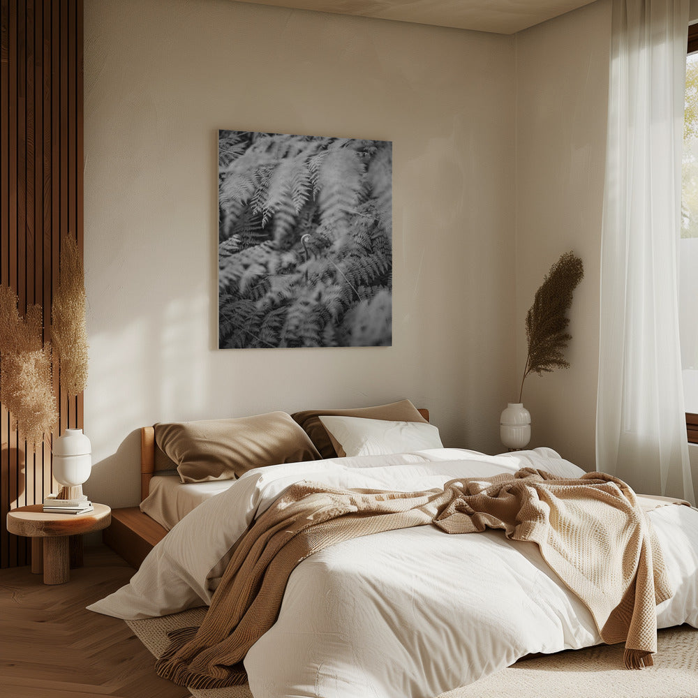 Black And White Photograph | Canvas