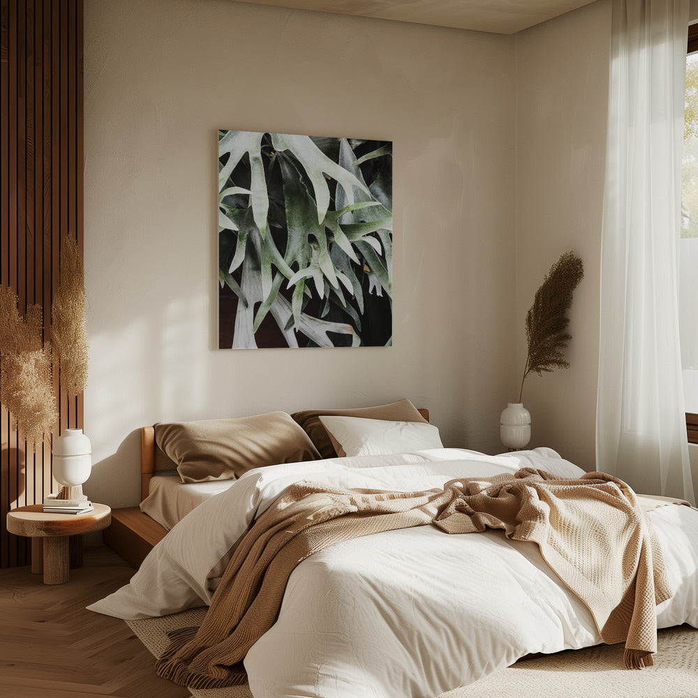 Enchanted Fronds | Canvas