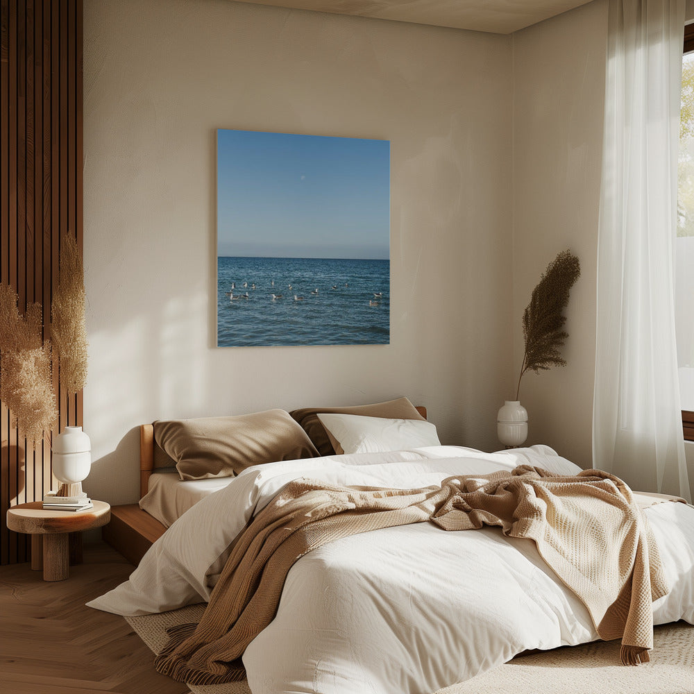 Moonlit Seabirds | Canvas