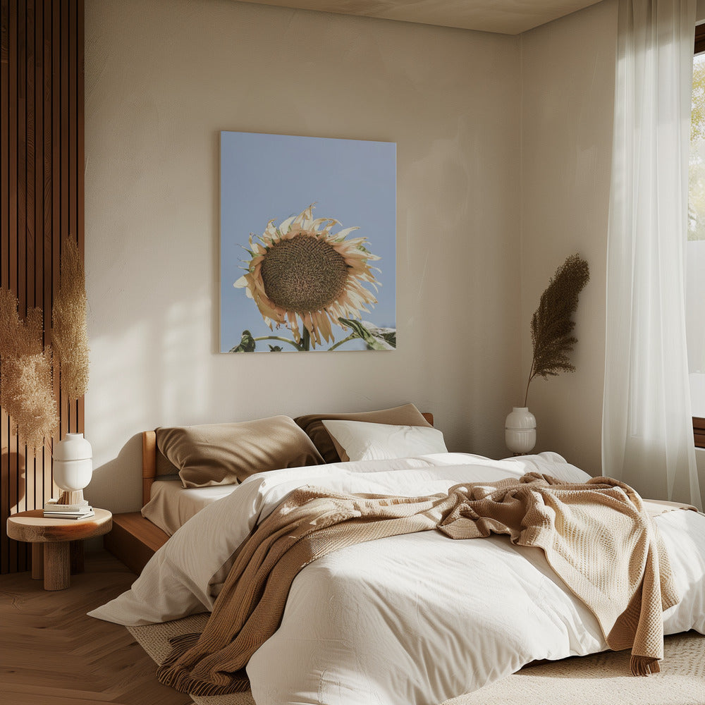 Golden Sunflower Sway | Canvas