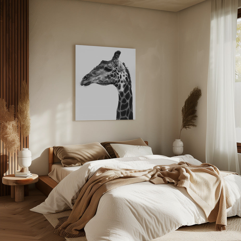 Intricate Patterns Of A Giraffe's Skin | Canvas