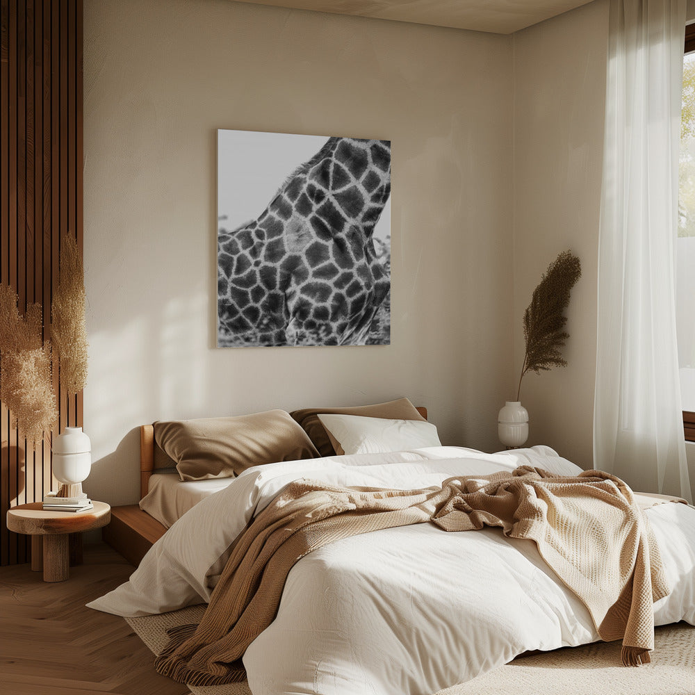 Intricate Patterns Of A Giraffe's Skin | Canvas