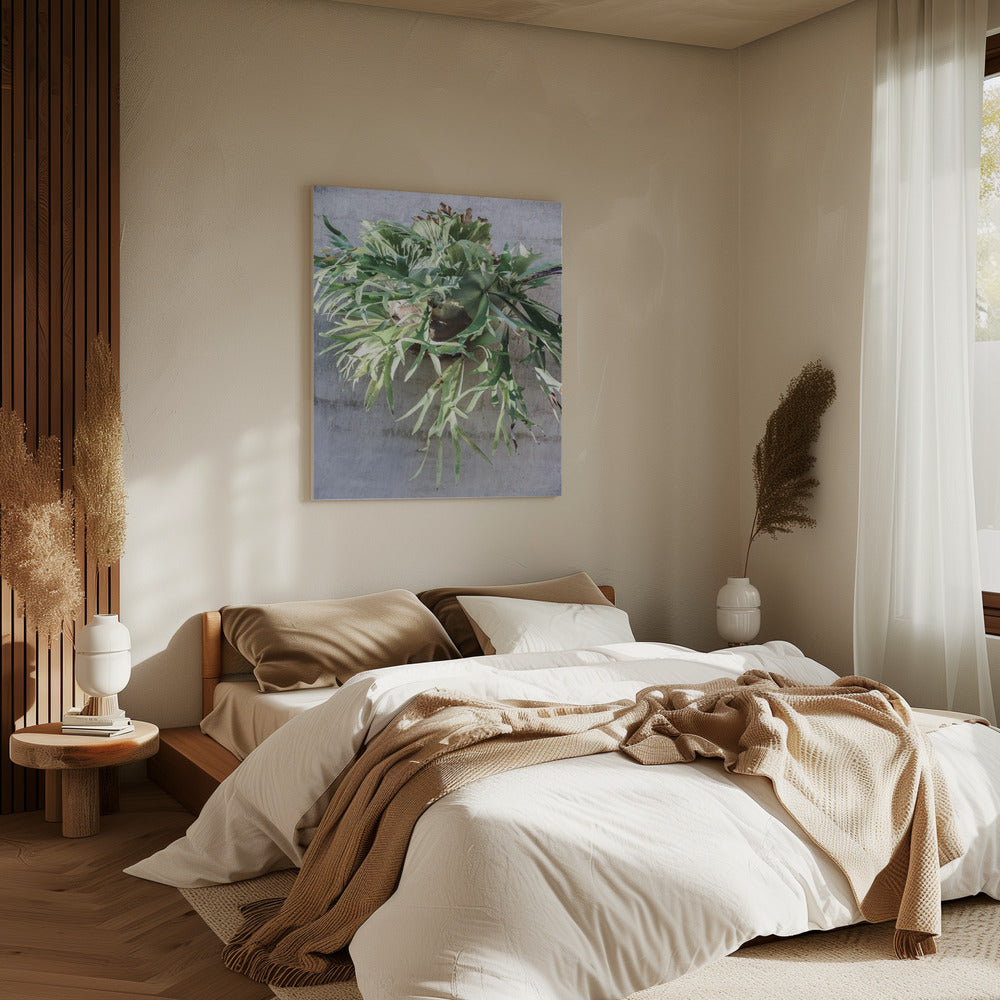 Wall Fern Delight | Canvas