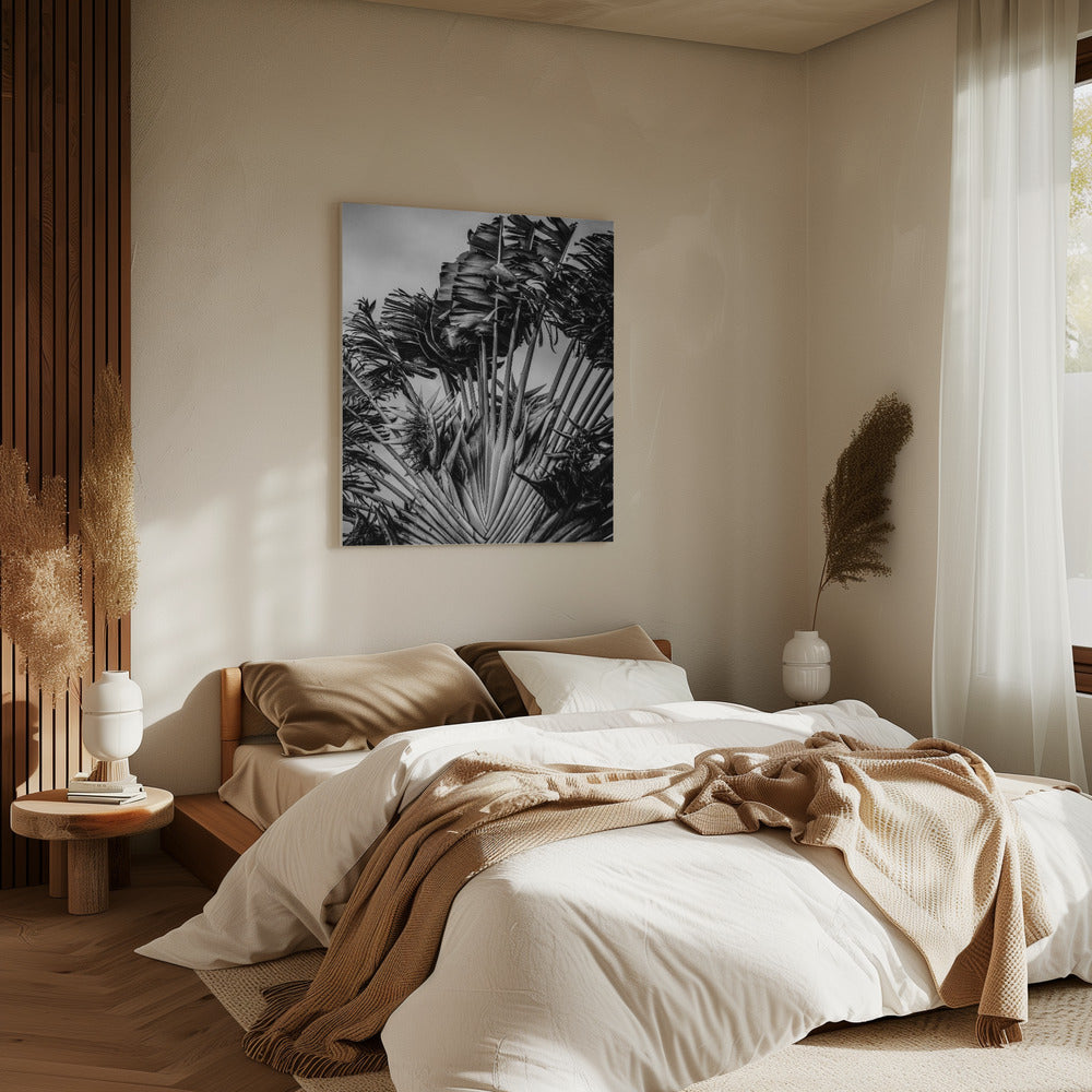 Tropical Dancer | Canvas