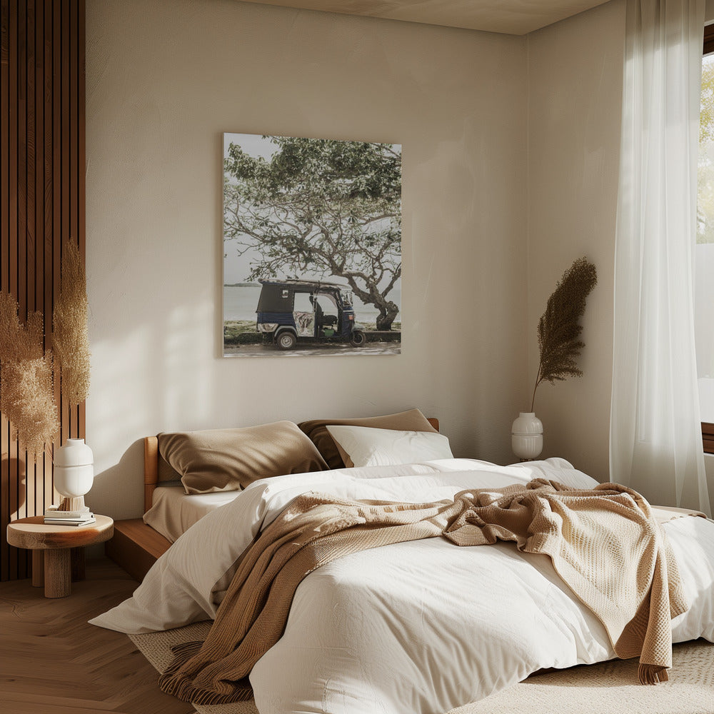 Tuk Tuk Tour | Canvas