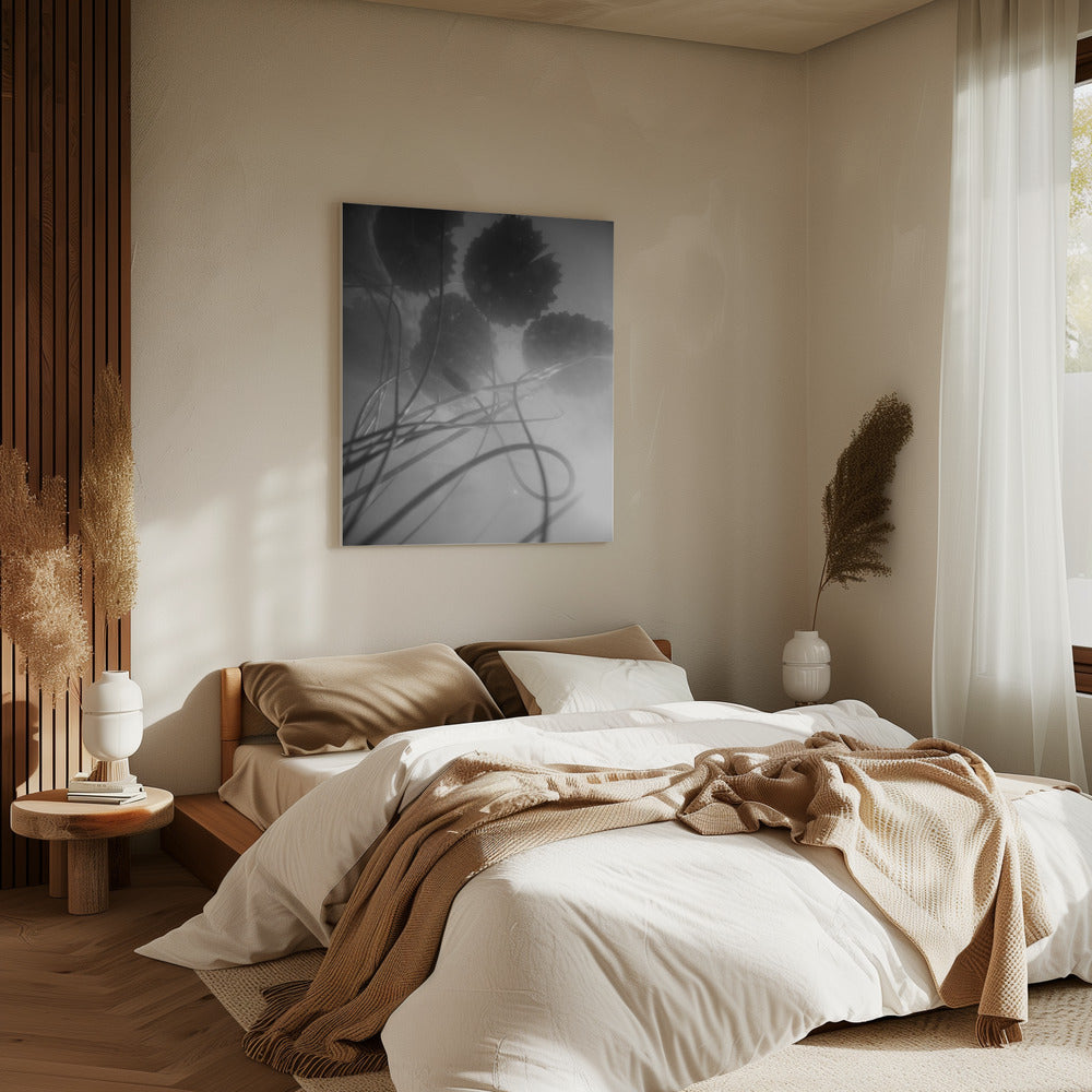 Water Lilly | Canvas