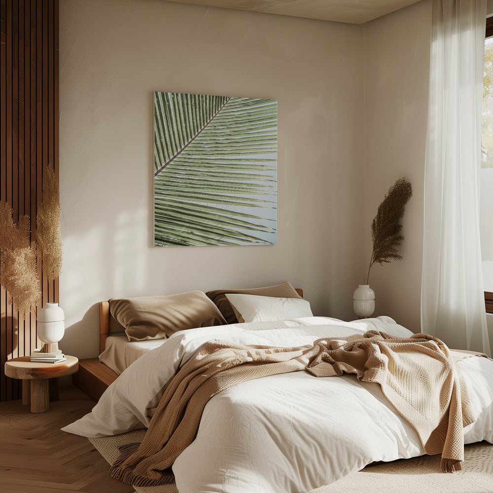 Intricate Pattern Of A Green Palm Leaf | Canvas