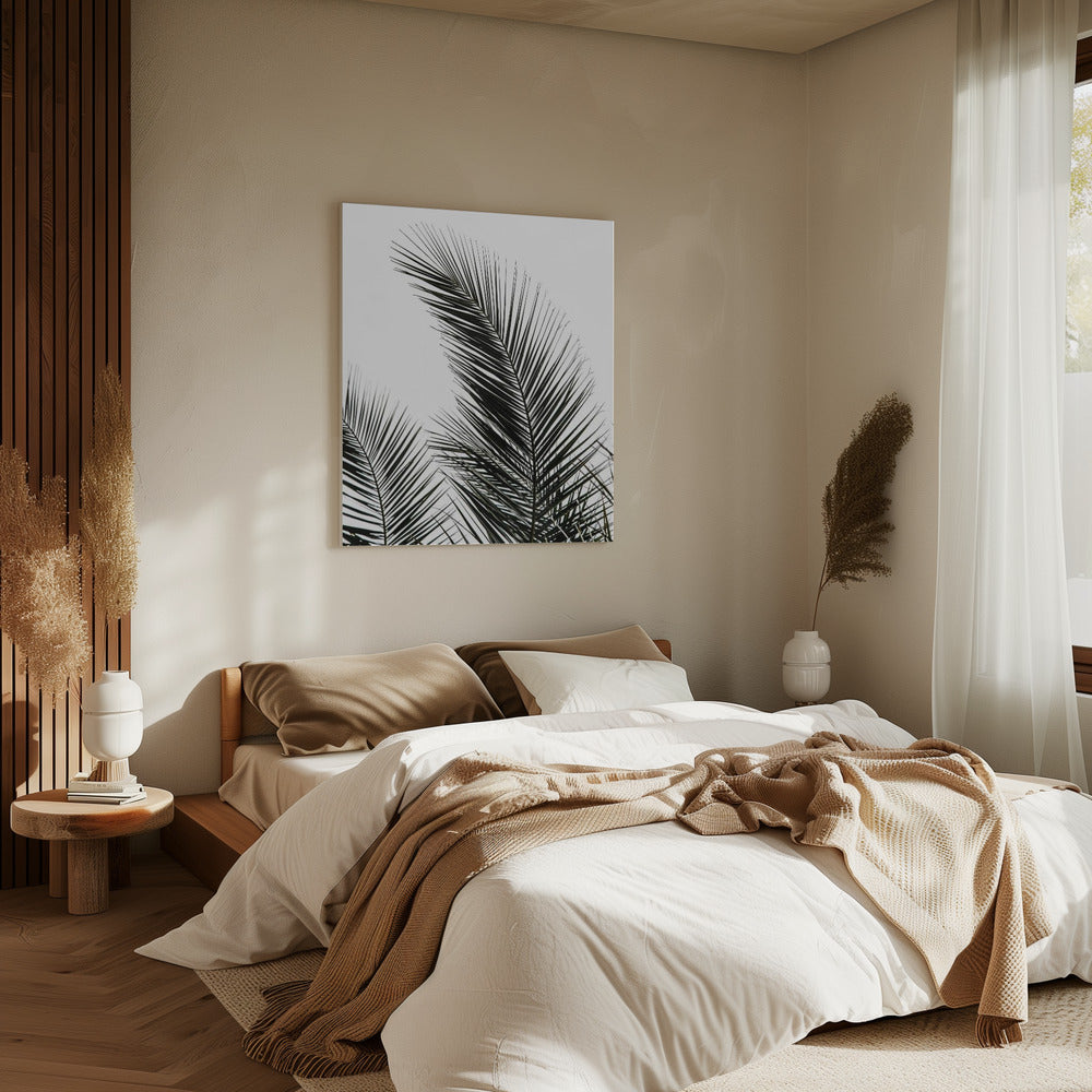 Palm Leaves 1 | Canvas