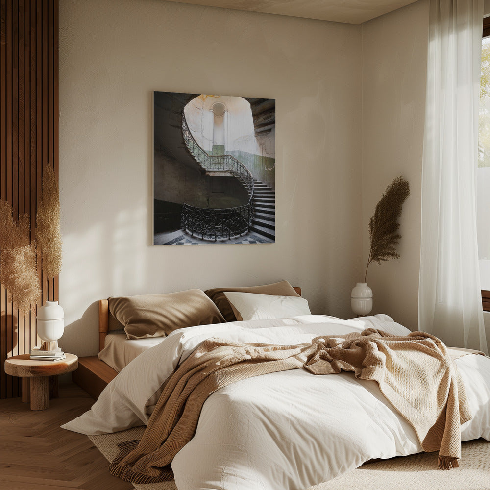 S-Shape | Canvas