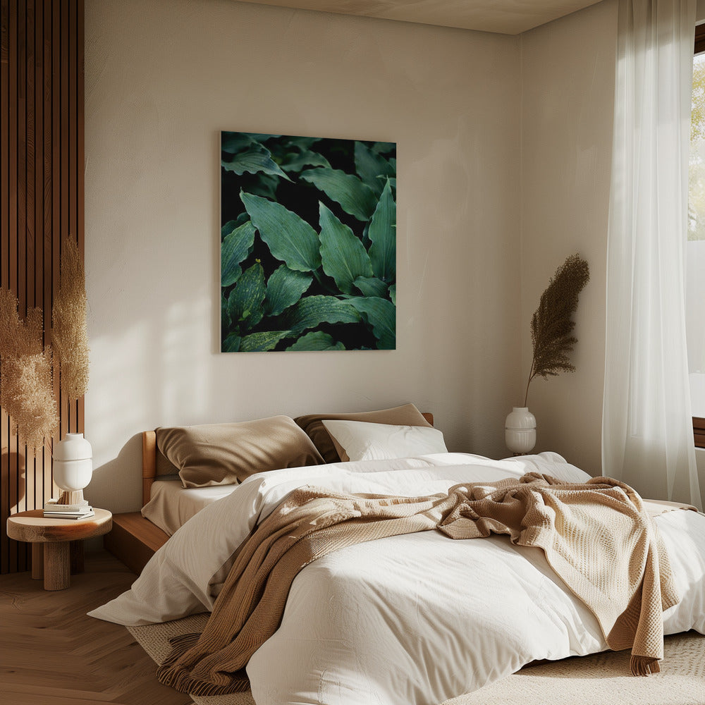 Dark Leaves 15 | Canvas