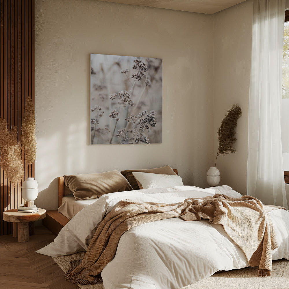 Unknown 8 | Canvas