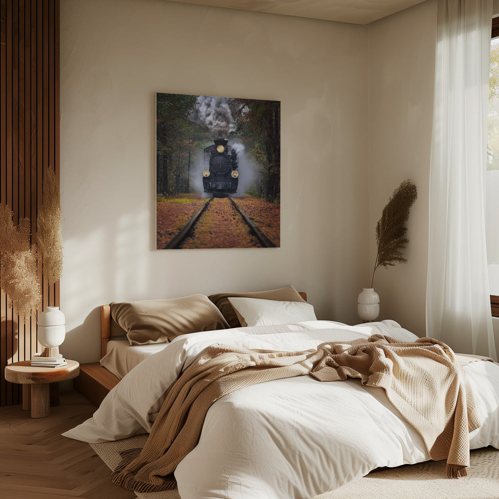 Through the autumn forest | Canvas