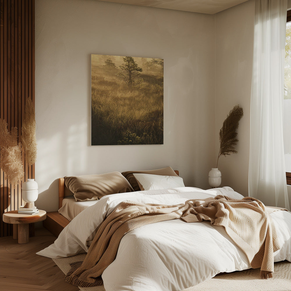 20220809 Dsf8033 | Canvas