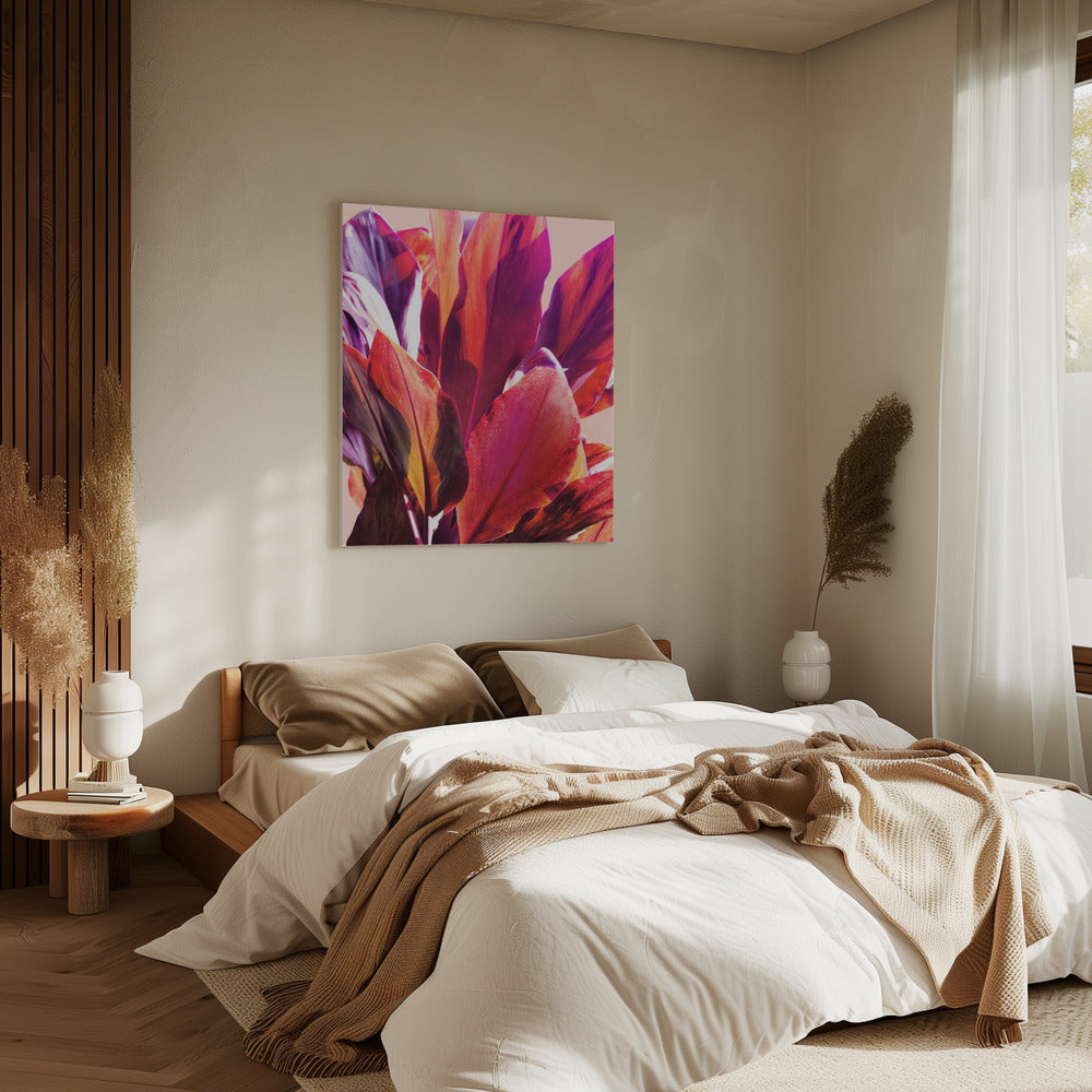 Fuchsia Leaves I | Canvas