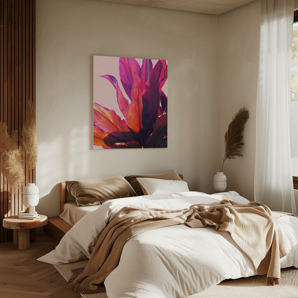 Fuchsia Leaves II | Canvas