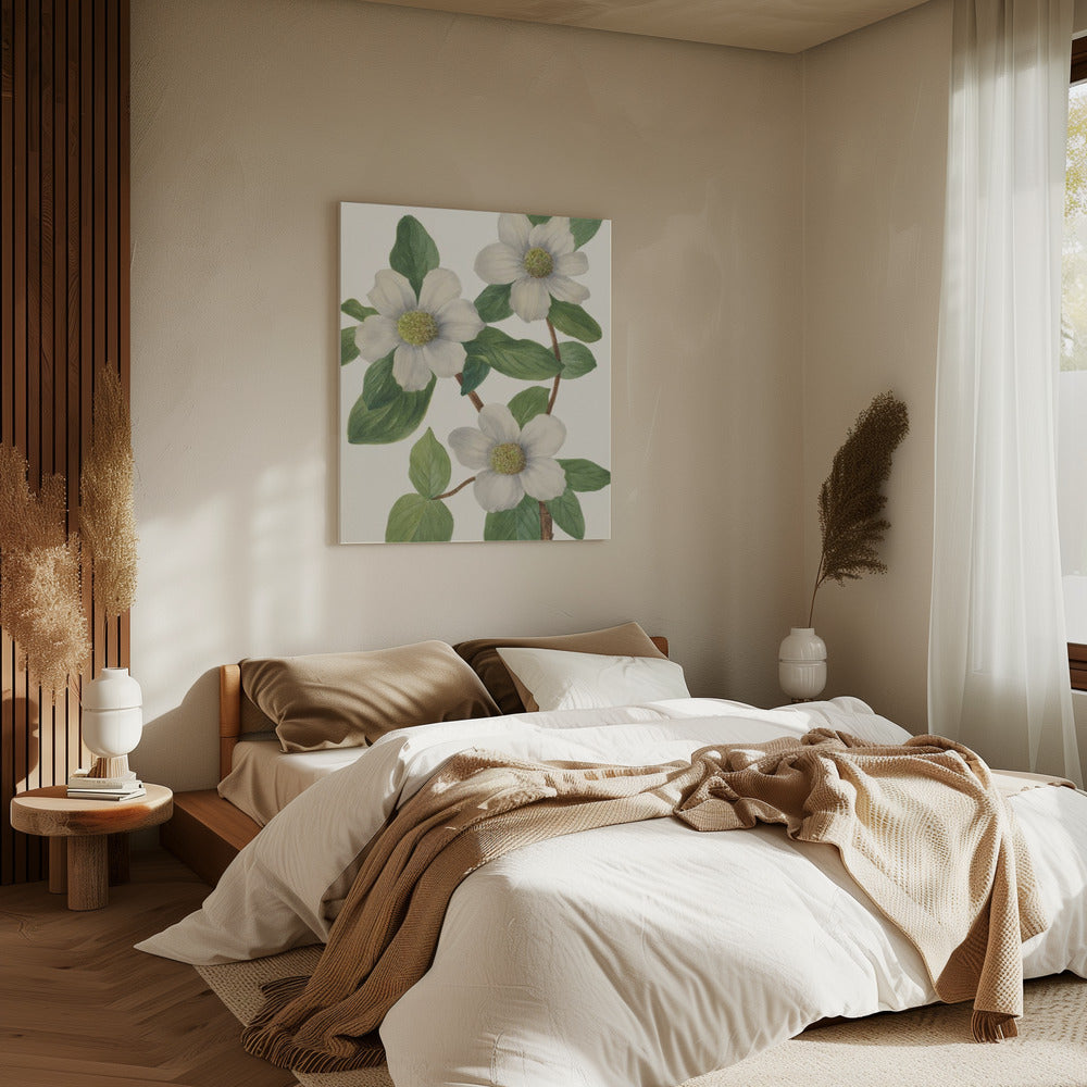 Pacific Dogwood | Canvas