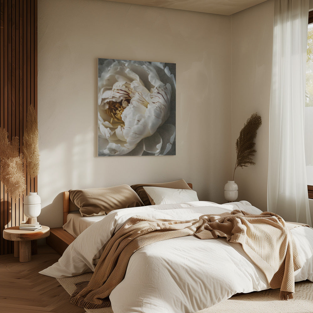 Petals of Serenity | Canvas