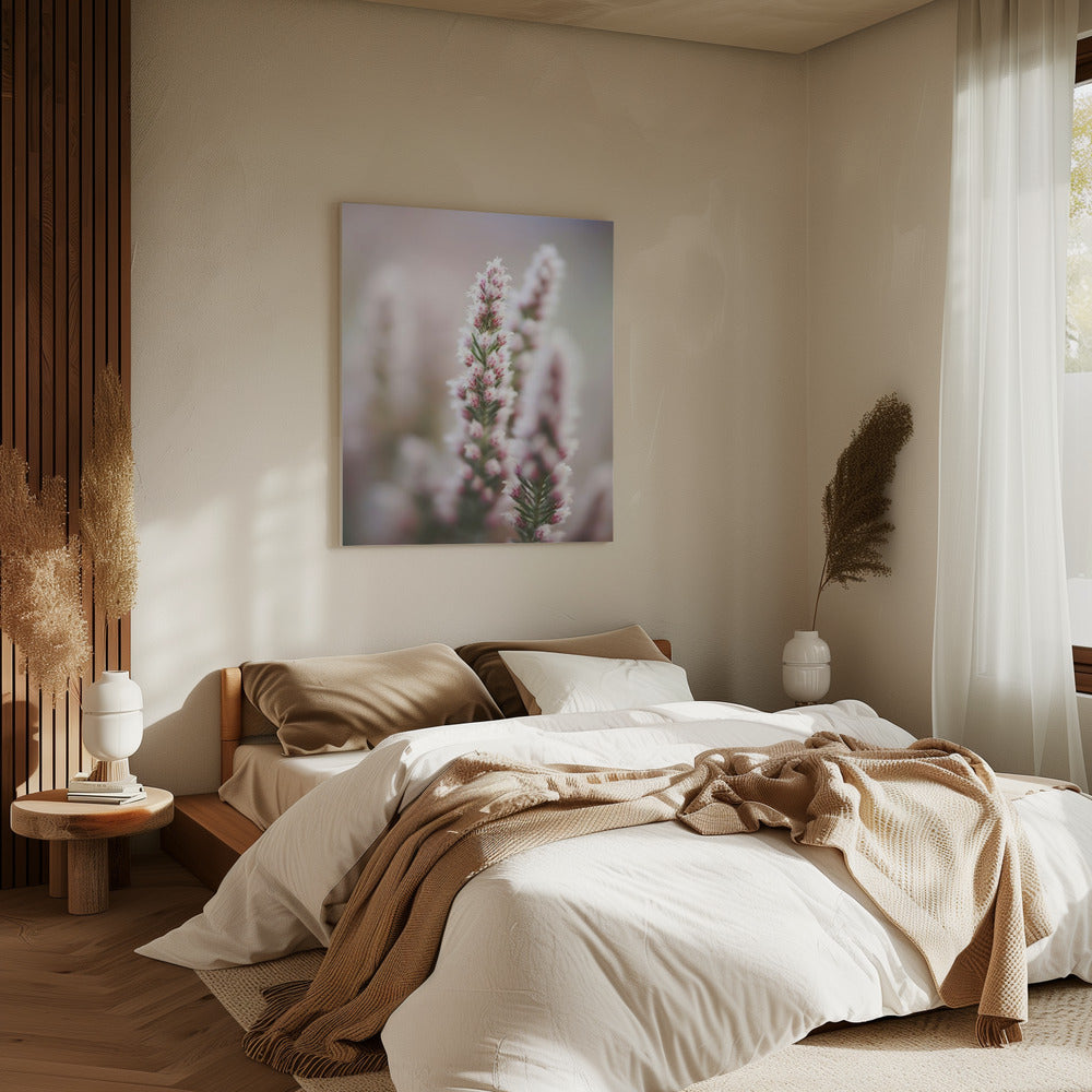 Whispers of Heather | Canvas