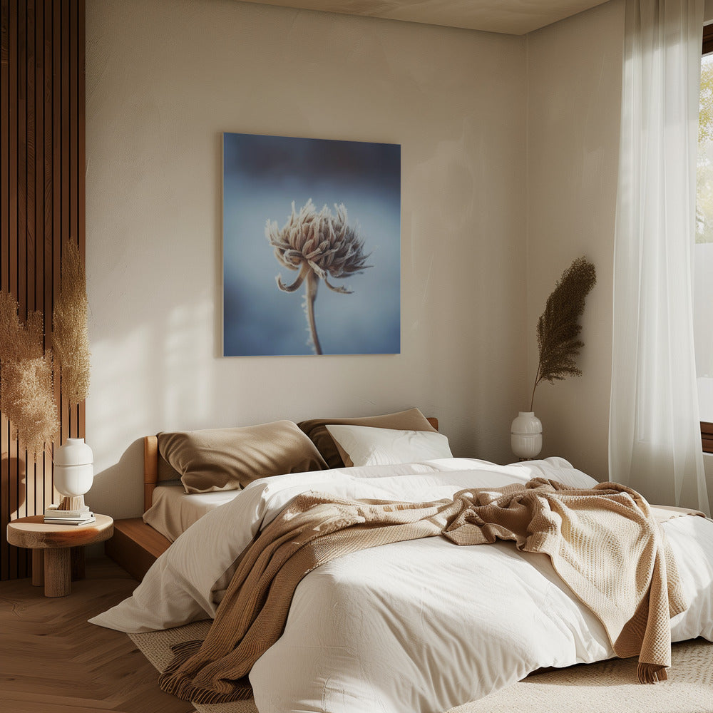 Frosted Blossom | Canvas