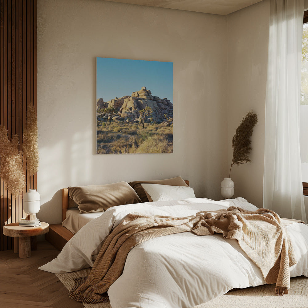 Joshua Tree Sunset | Canvas