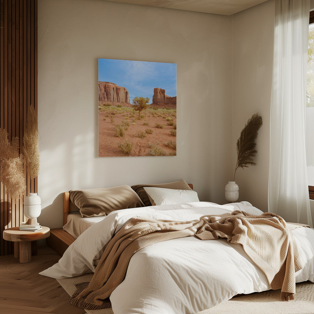 Monument Valley X | Canvas