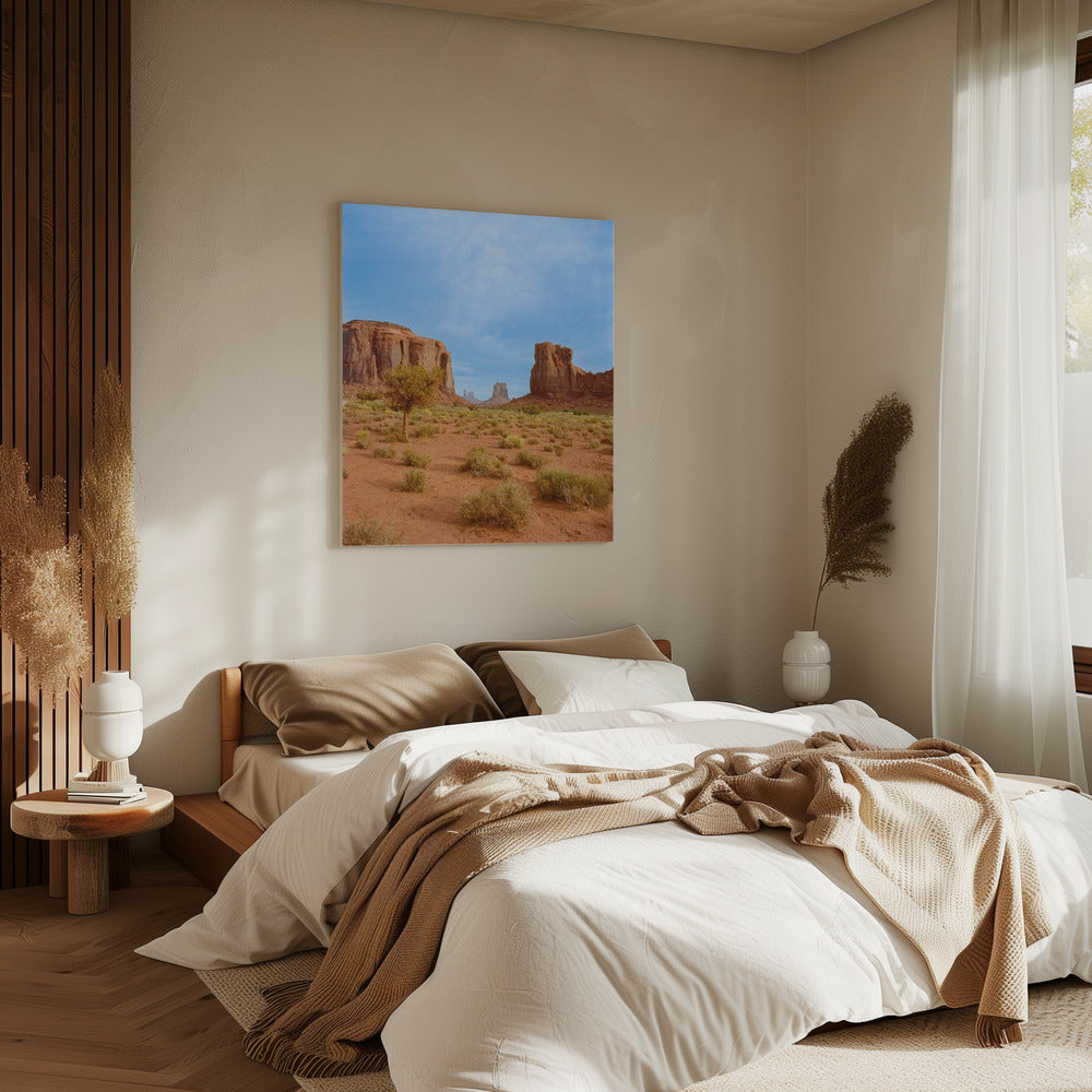 Monument Valley XII | Canvas