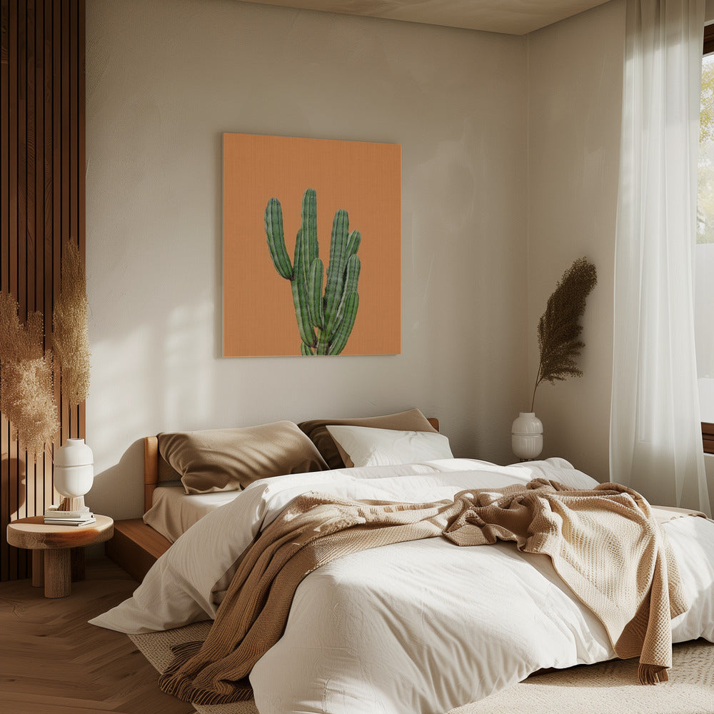 Orange Cactus | Canvas