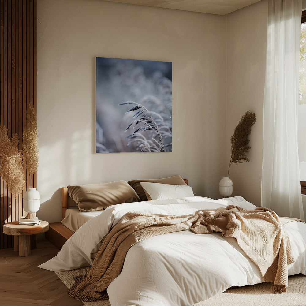 Frosty Morning 5 | Canvas