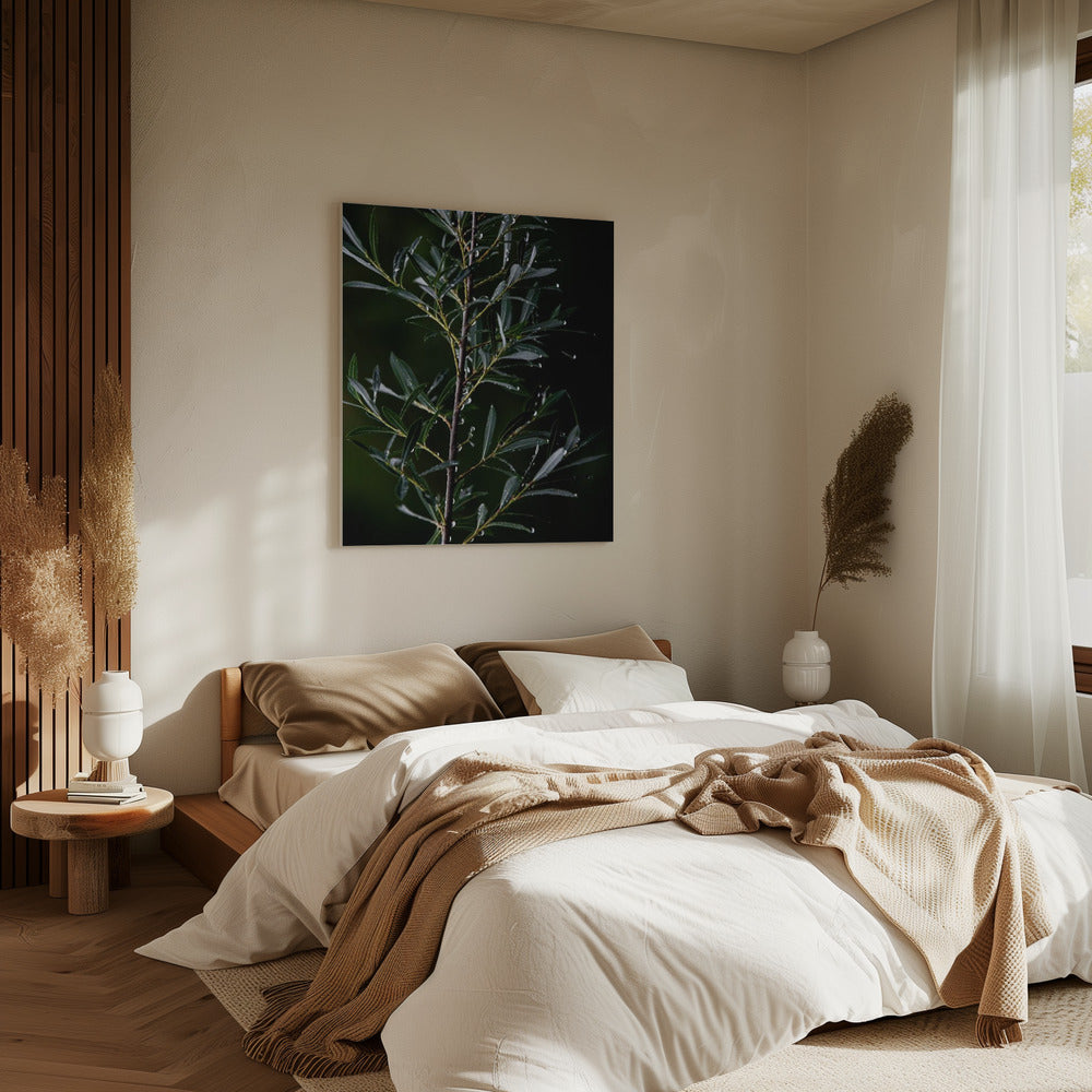 Winter Branches 6 | Canvas