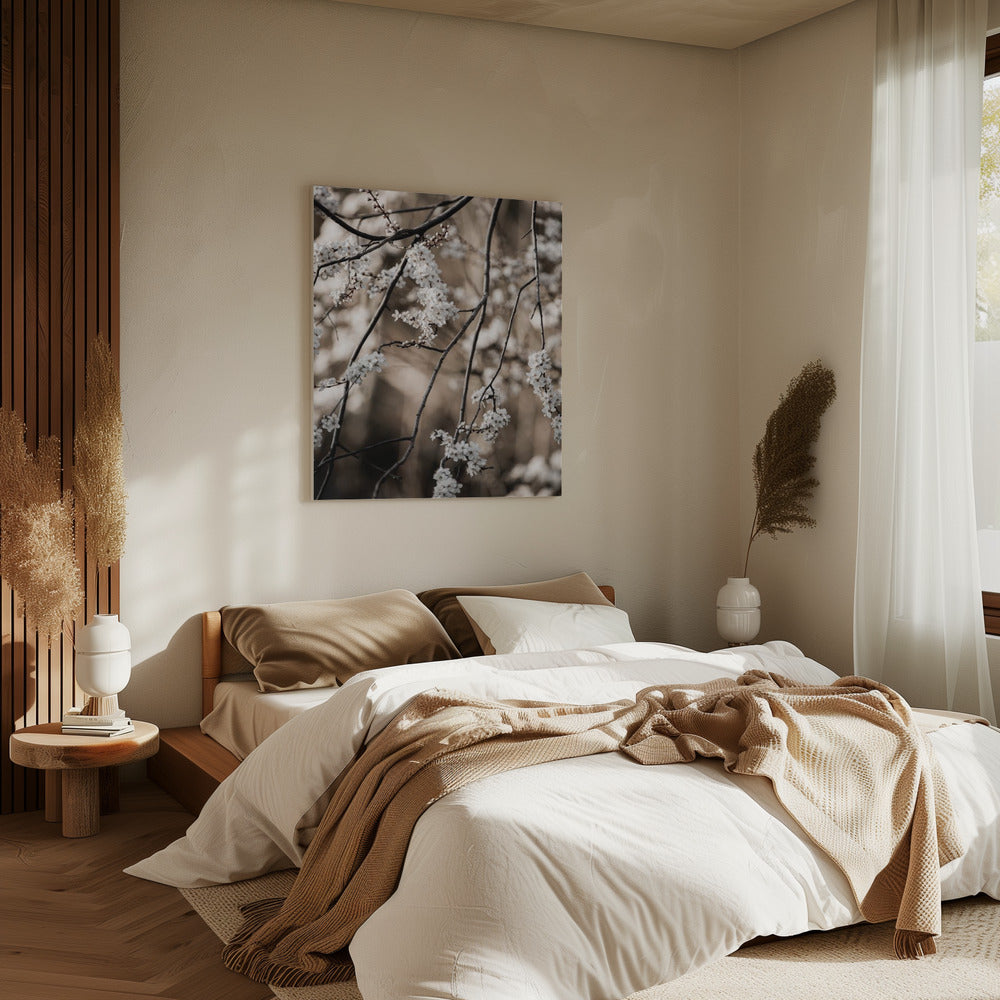 Spring Branches 1 | Canvas