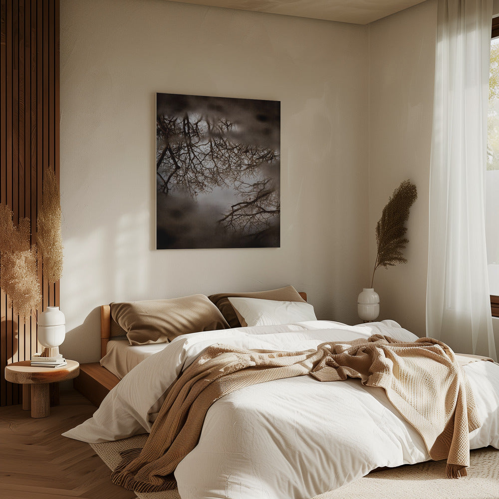 Winter Reflections | Canvas