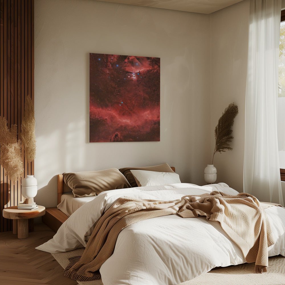 Orion's Belt | Canvas