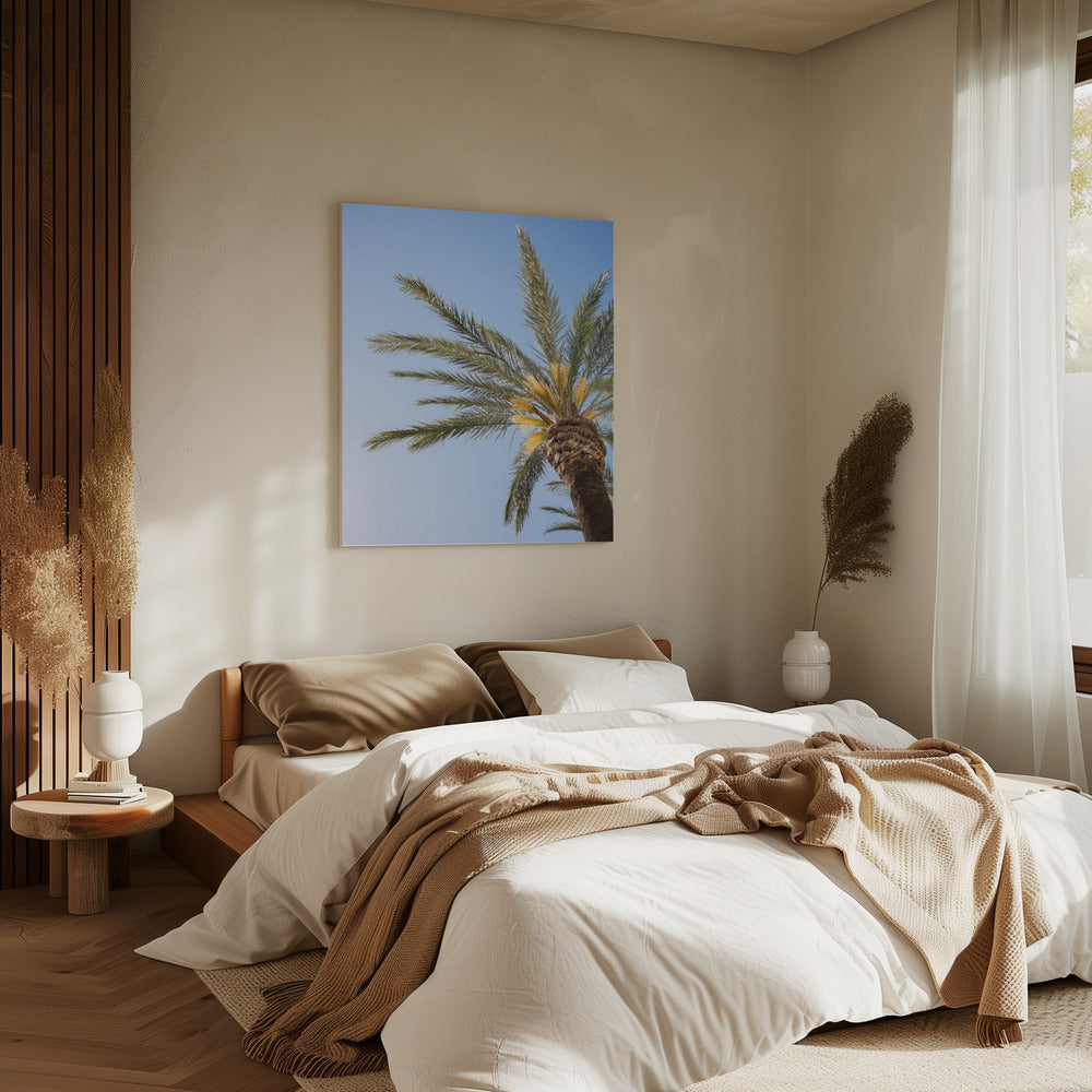 Vejer de La Frontera Palm Tree | Canvas
