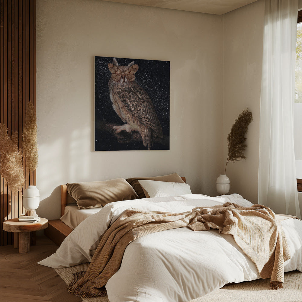 Camouflage and Stars Colour | Canvas