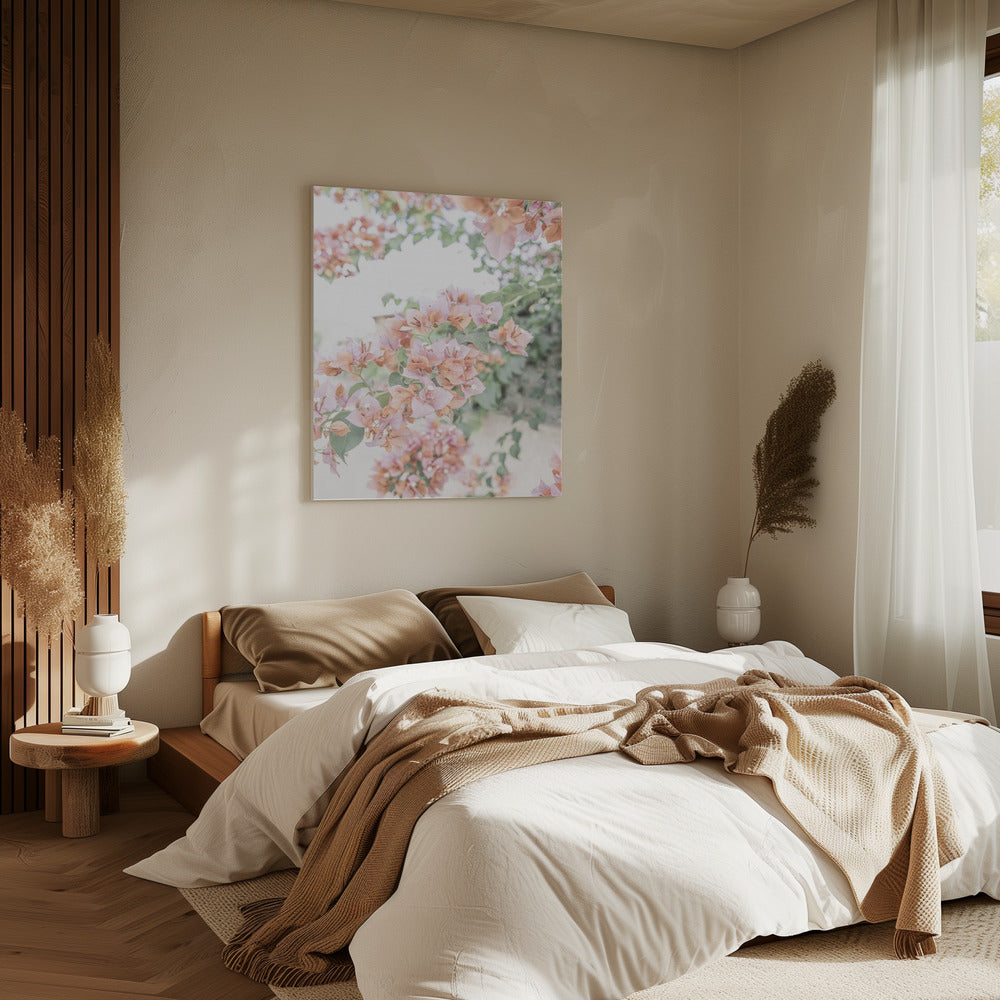 Peach Bougainvillea | Canvas