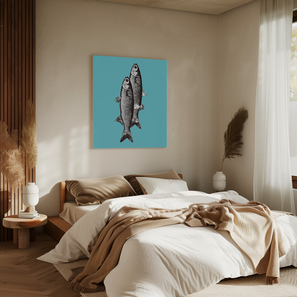 Sardinas | Canvas