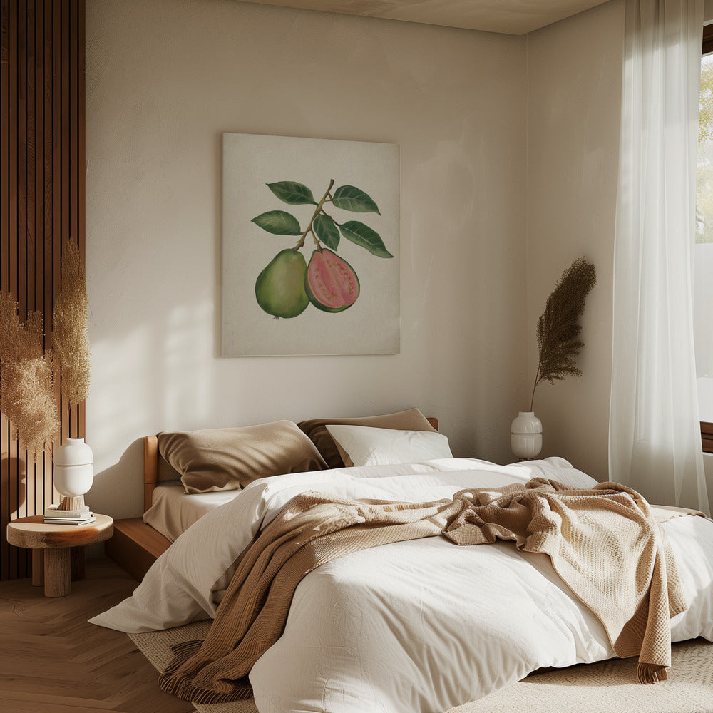 Vintage guava | Canvas