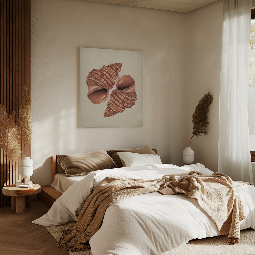 Seashell vintage | Canvas