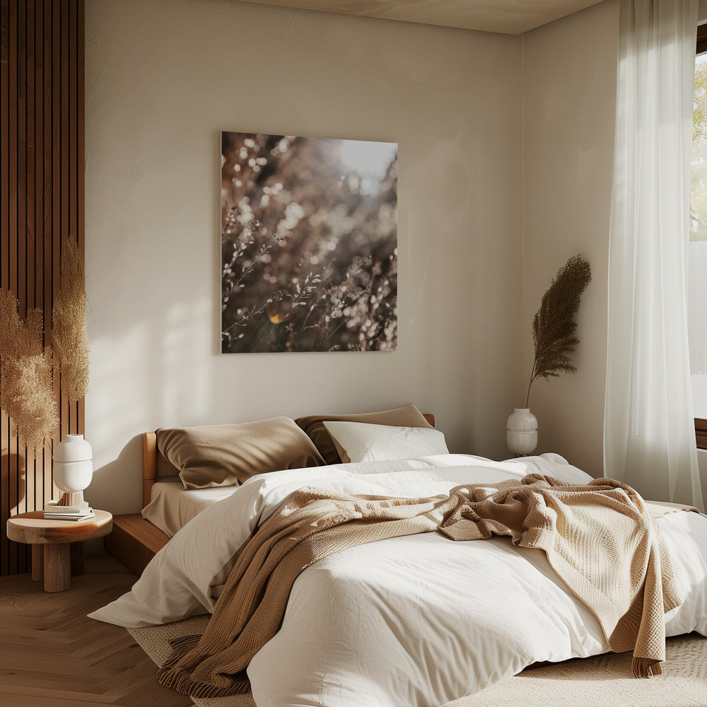 Warm Winter Light 6 | Canvas