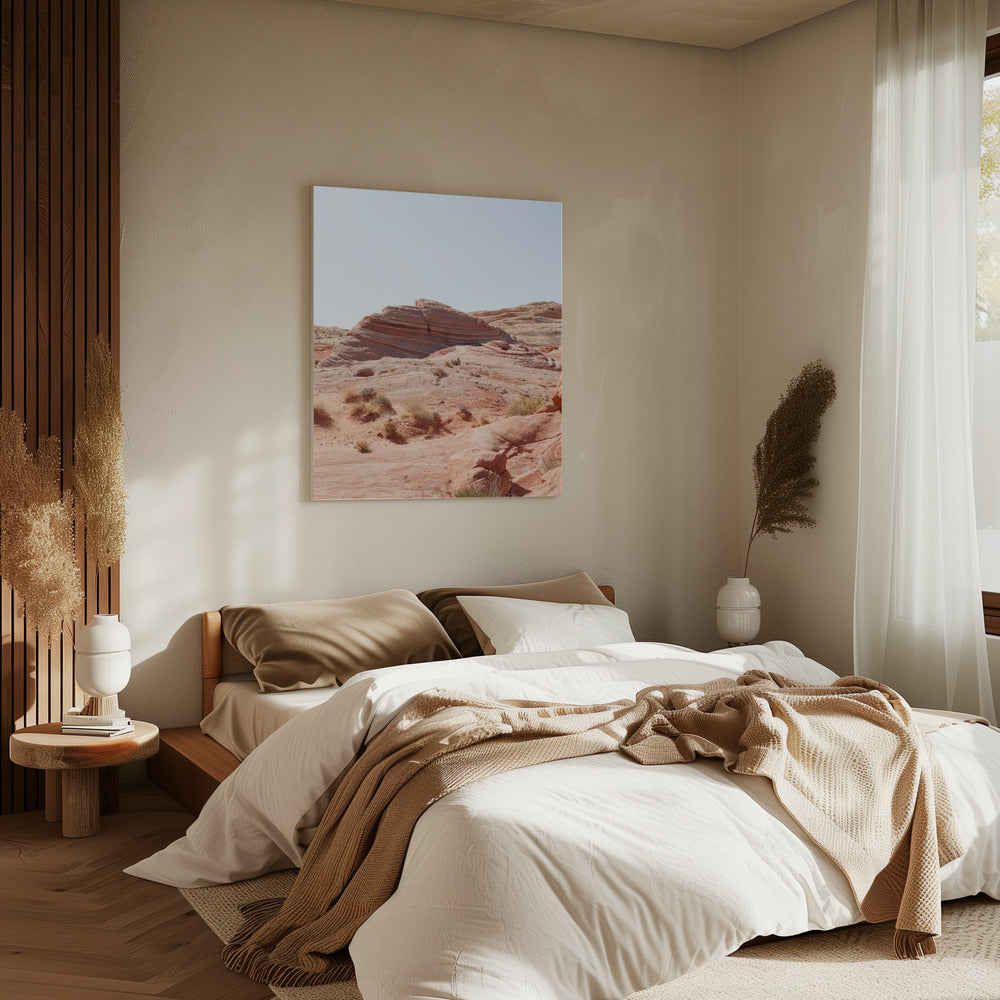 Valley of Fire | Canvas