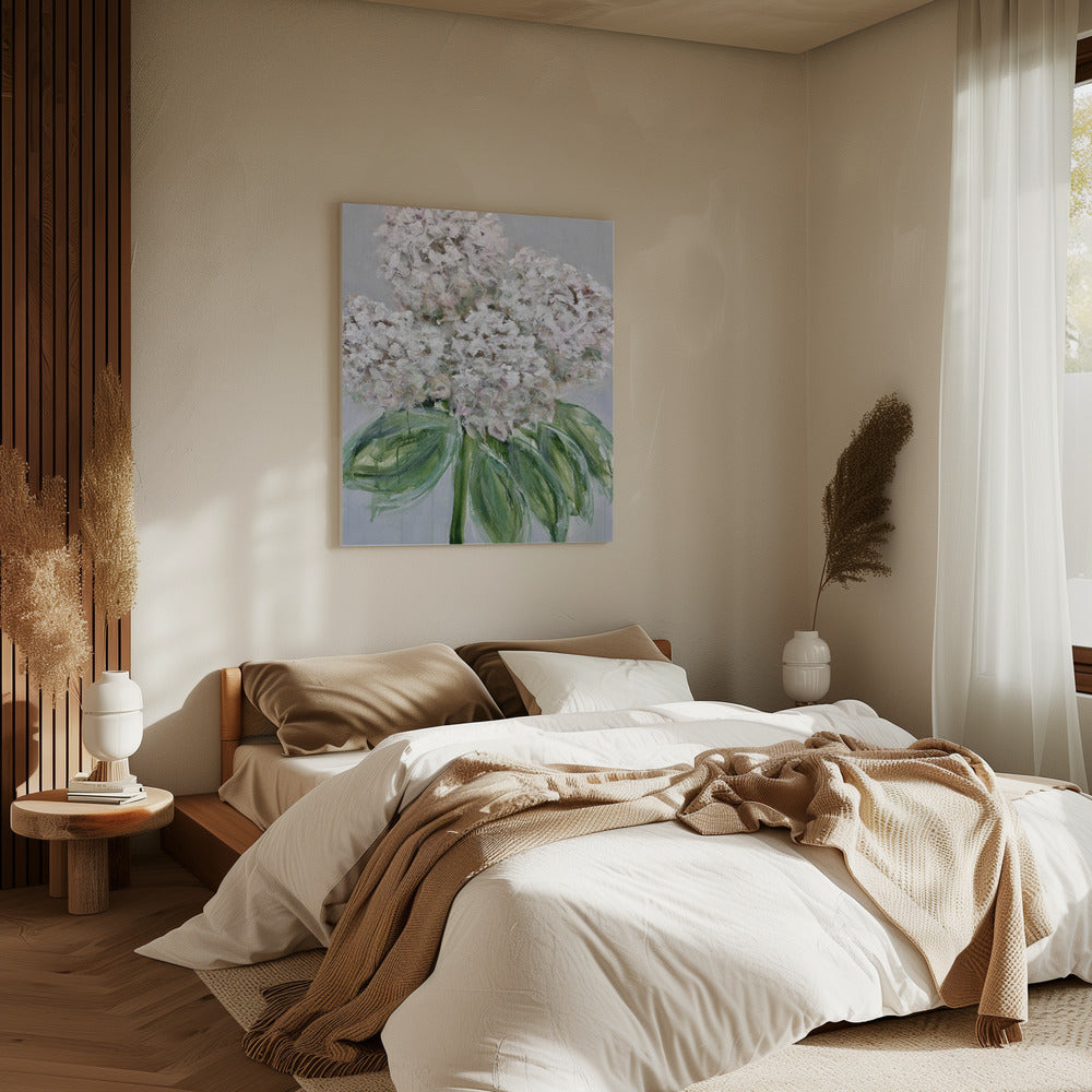 White Hydrangea Bloom | Canvas